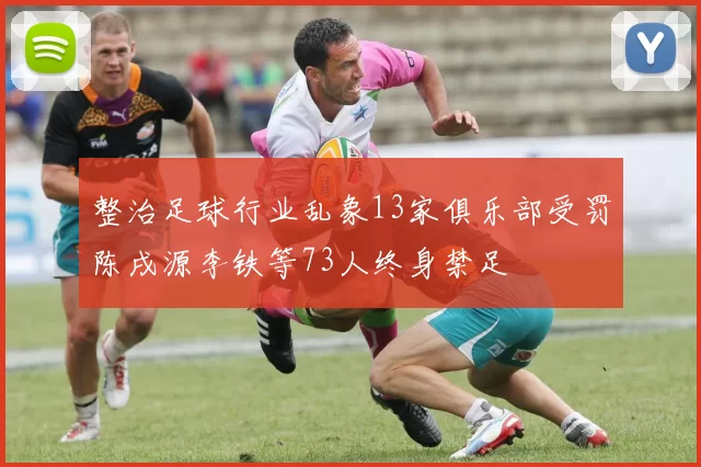 整治足球行业乱象13家俱乐部受罚陈戌源李铁等73人终身禁足